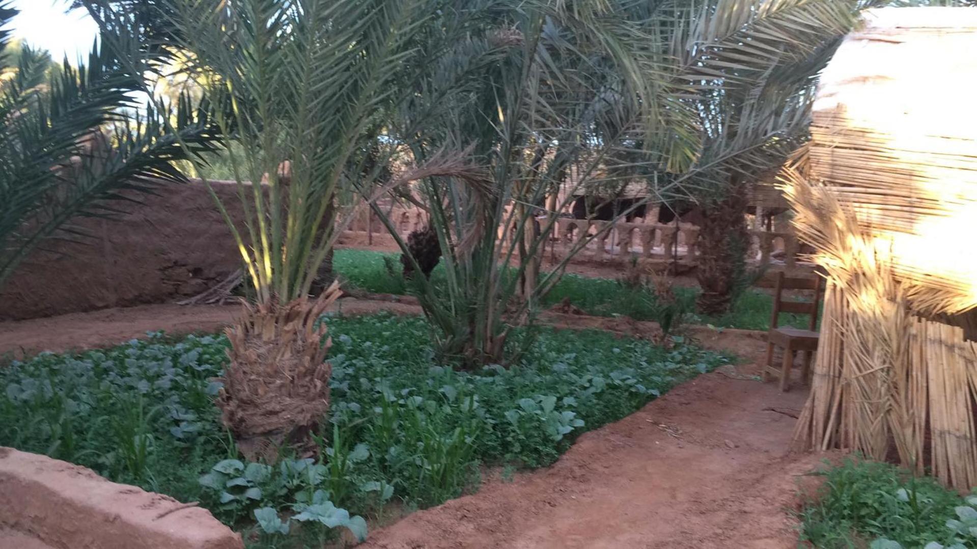 Auberge La Palmeraie M'Hamid Buitenkant foto